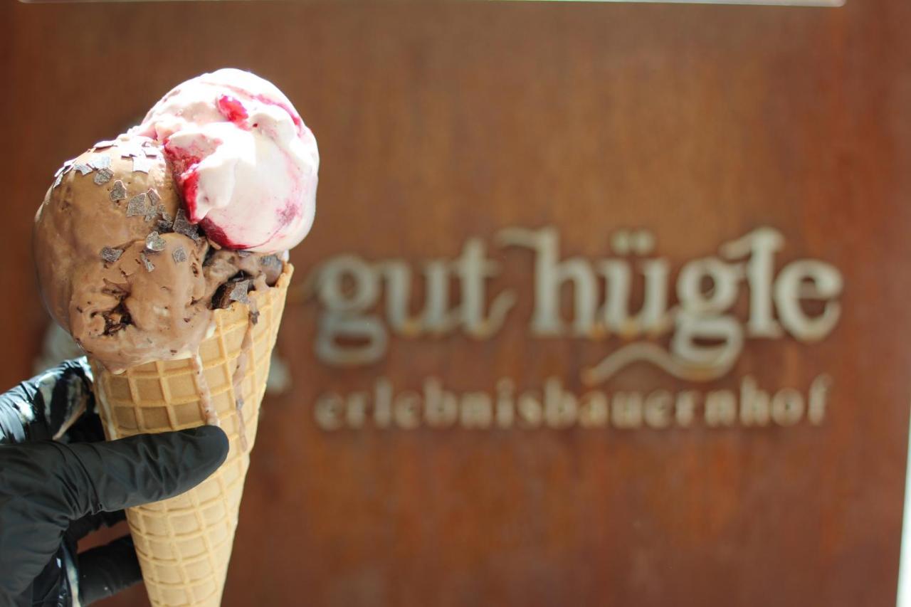 Gut Huegle Jugendzimmer 라벤스부르크 외부 사진
